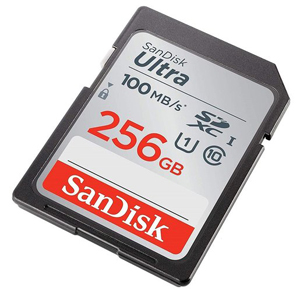 SanDisk SDSDUNR-256G-GN6IN